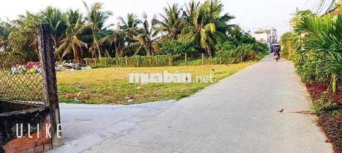 Đất thổ 1 sẹc nhựa 833, cách chợ trường học chỉ 200m