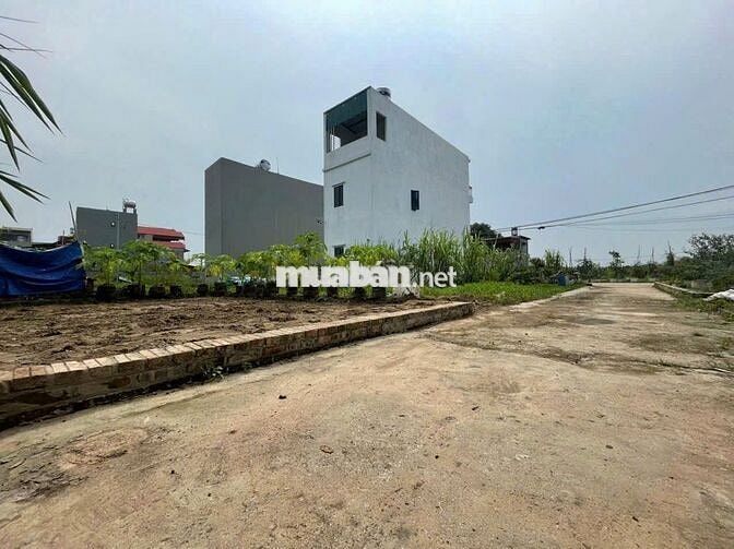 Bán 52m đất thôn Ấp Tre, tổ 9, Quang Minh. Mặt tiền rộng 6m, full thổ