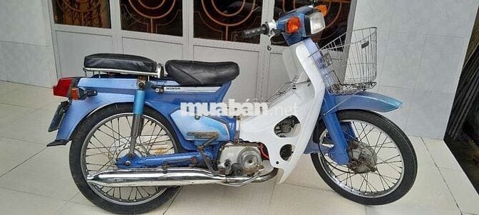 Cub 50/84 học sinh