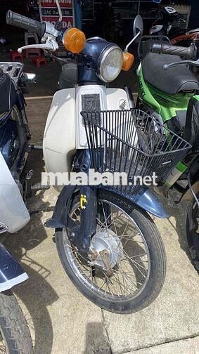 cub❤️81/50 bs:60 đồng nai