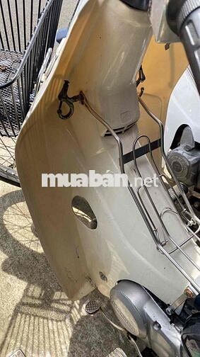 cub❤️81/50 bs:60 đồng nai