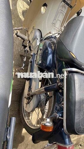 cub❤️81/50 bs:60 đồng nai