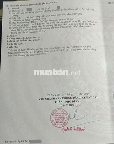 Đất gần ngã 3 Cây Điệp, phường Tân Đông Hiệp, TP Dĩ An