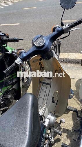 cub❤️81/50 bs:60 đồng nai