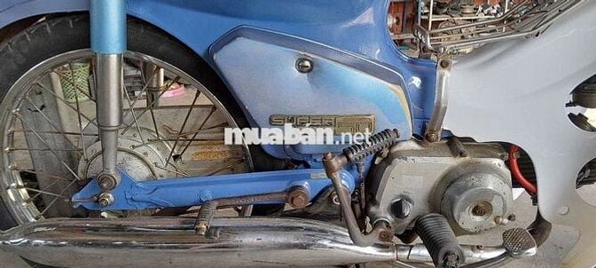 Cub 50/84 học sinh