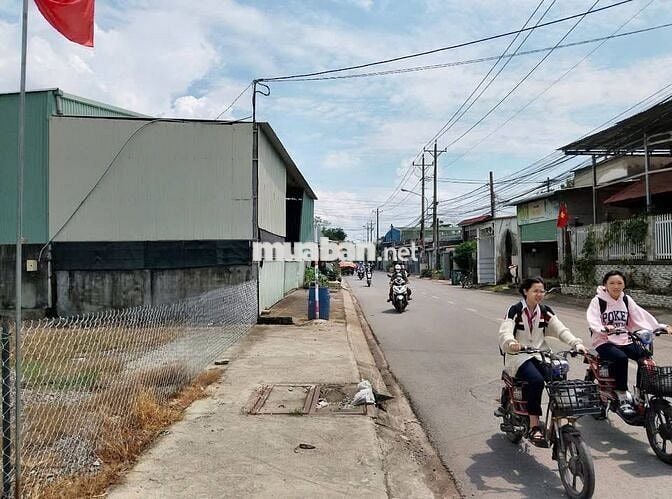 BÁN ĐẤT THỔ CƯ 310M2 XÃ TÂN THÔNG HỘI CỦA CHI