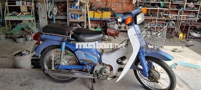 Cub 50/84 học sinh