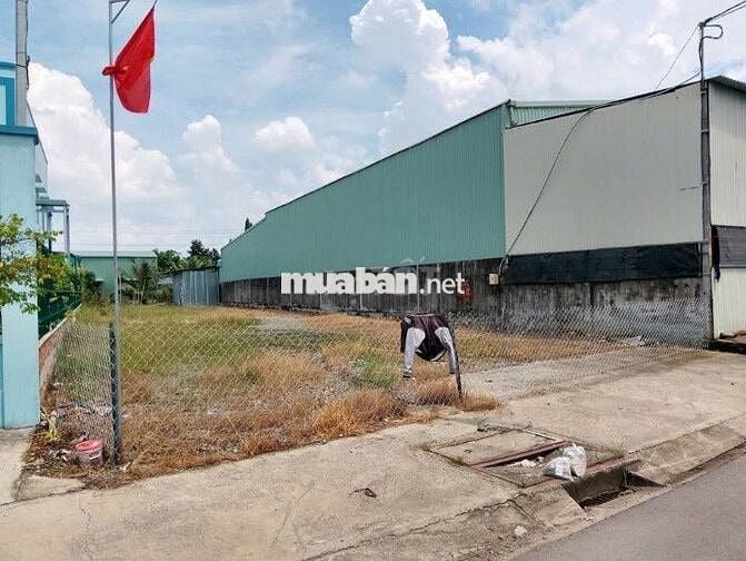 BÁN ĐẤT THỔ CƯ 310M2 XÃ TÂN THÔNG HỘI CỦA CHI