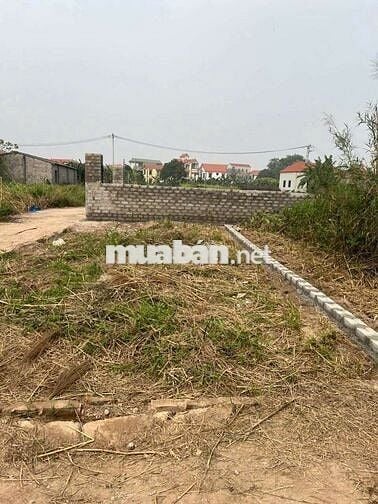 🎄 SIÊU HIẾM CÓ 1 KHÔNG 2 👉Lô góc 2 mặt tiền tại thôn Vĩnh Lộc_Thư ph