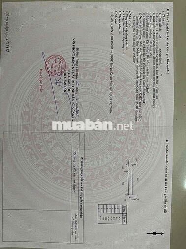 bán nhà trung tâm Xã hồ tràm TP HCM 265m2 chính chủ