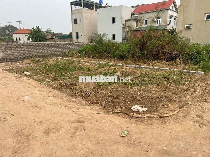 🎄 SIÊU HIẾM CÓ 1 KHÔNG 2 👉Lô góc 2 mặt tiền tại thôn Vĩnh Lộc_Thư ph