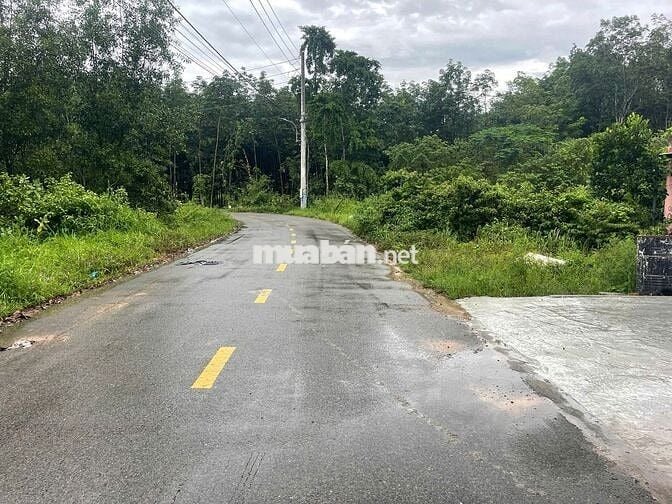 Sang nhượng lô đất 600m gần Mỹ Phước Tân Vạn phù hợp  làm Kho , Xưởng