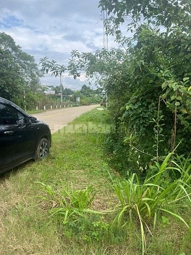 MT TỈNH LỘ 600A, 30000M2, 700m2 THỔ, QH THỔ CƯ