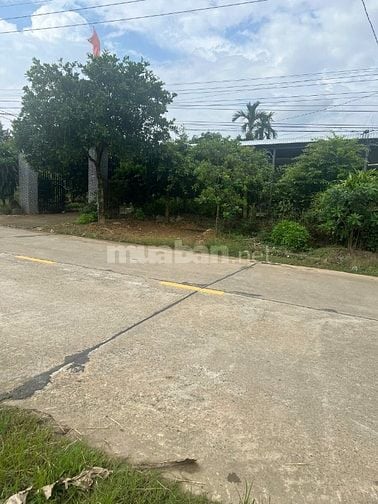 MT TỈNH LỘ 600A, 30000M2, 700m2 THỔ, QH THỔ CƯ