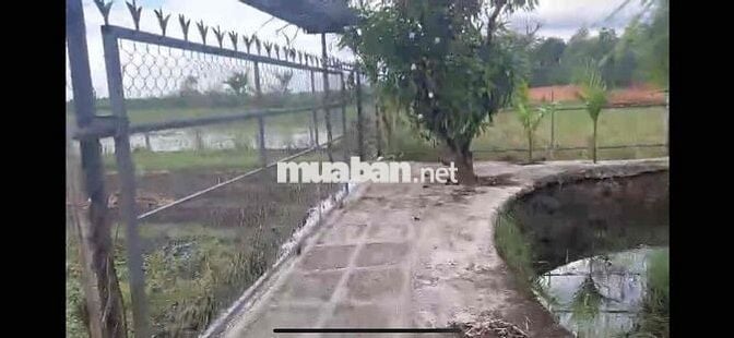 Bán nhà ở và kinh doanh quán cà phê, quán nhậu