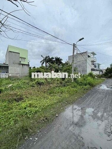 Bán đất thổ cư, 80m2(5x16m) đg xe hơi Lê Văn Lương Nhơn Đức - Nhà Bè