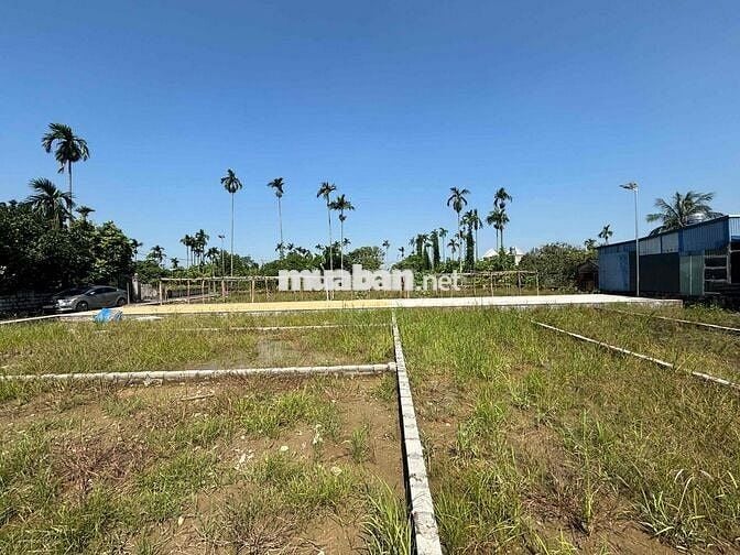 Bán Đất Bát Trang An Lão sổ đỏ gần khu CN Tràng Duệ 3