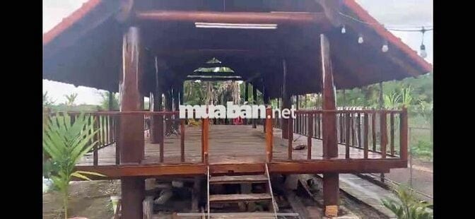 Bán nhà ở và kinh doanh quán cà phê, quán nhậu