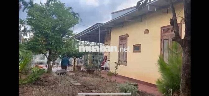 Bán nhà ở và kinh doanh quán cà phê, quán nhậu