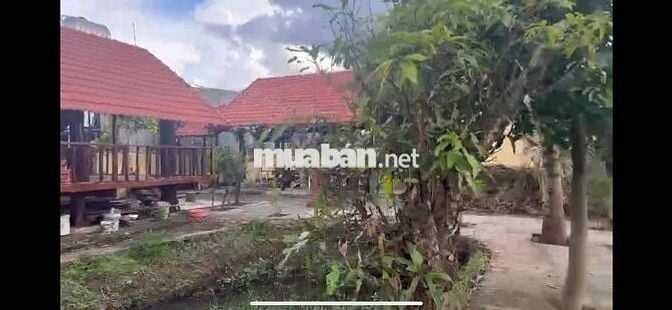 Bán nhà ở và kinh doanh quán cà phê, quán nhậu