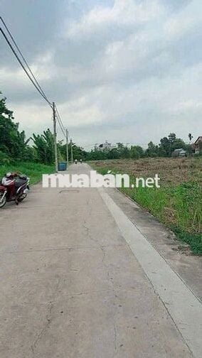 BÁN ĐẤT: 224m2 thổ cư đường Lộc Khê - TT Trảng Bàng - SHR