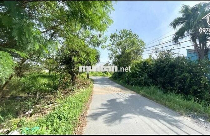 BÁN ĐẤT: 1/ Hương Lộ 2 TT Trảng Bàng Tây Ninh - SHR
