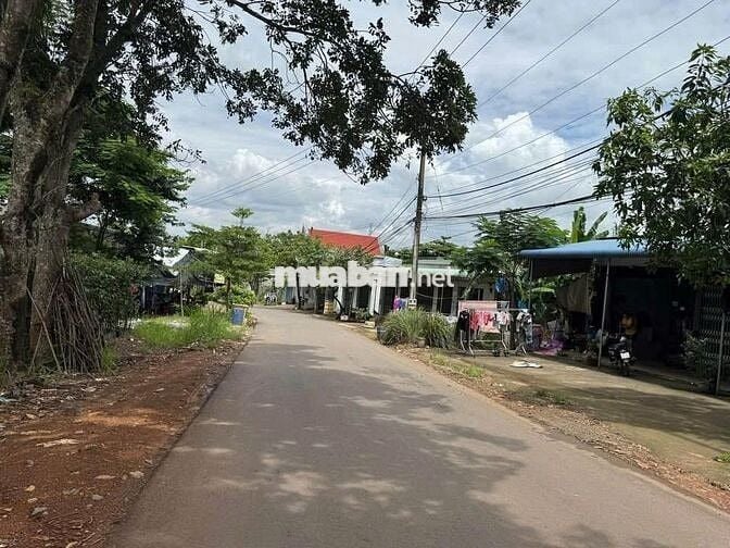 ngộp bank bán dãy trọ 10p-1kiot ở Trảng Bàng. DT 284m2, gái 980tr.
