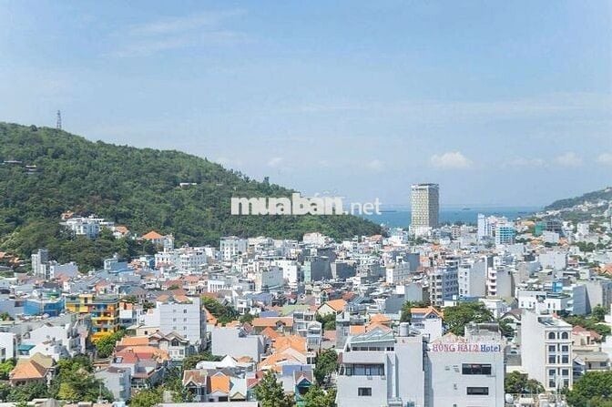 Bán chung cư Vũng Tàu goldsea 1PN sửa làm 2PN giá tốt