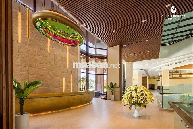 CĂN HỘ BIỂN VŨNG TÀU CHỈ TỪ 2 TỶ 7 BÀN GIAO TRONG NĂM 2025