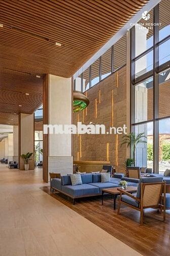 CĂN HỘ BIỂN VŨNG TÀU CHỈ TỪ 2 TỶ 7 BÀN GIAO TRONG NĂM 2025