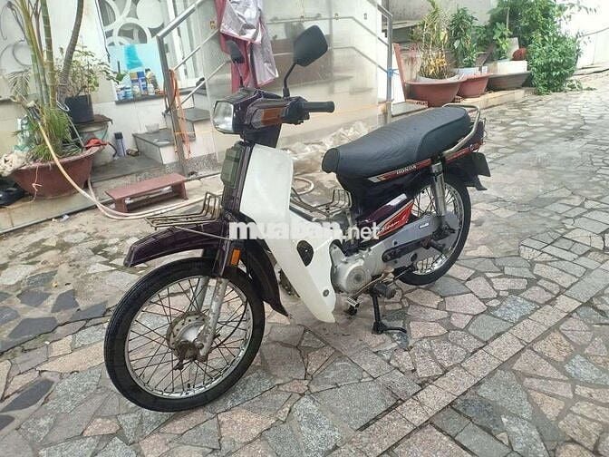 Xe dream Hàn Quốc