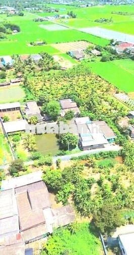 Chỉ 700tr sở hữu 703m2 đất vườn view sông cực đẹp