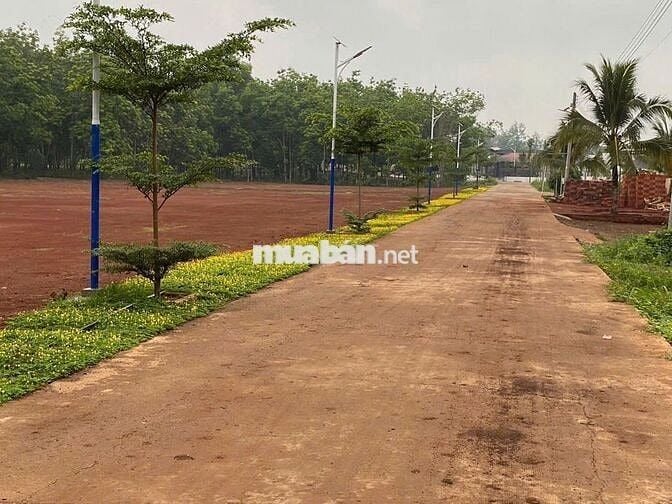 Bán đất nền thổ cư tại khu công nghiệp Đồng Nai mới