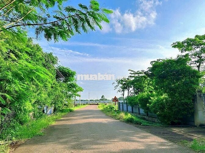 SIÊU HIẾM, LÔ BIỆT THỰ 185M2 (9x21) GẦN VÒNG XOAY CAO TỐC BH - VT
