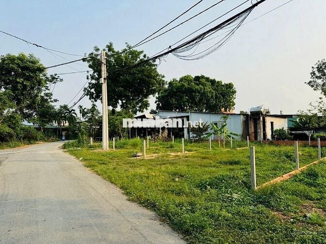 Bán nhanh lô đất mặt tiền Đ. nhựa Trần Văn Chẩm -Củ Chi. DT 87m2,SHR