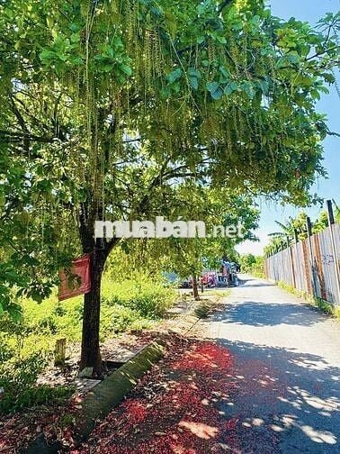 BÁN ĐẤT: 5x18 mặt tiền Suối Lội - Vị trí đẹp đầu tư - SHR