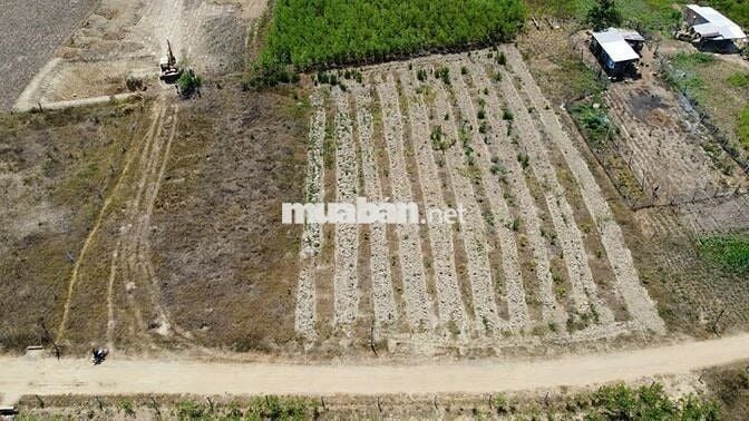 Cần bán nhanh lô đất vườn tại Diên Khánh, Khánh Hòa