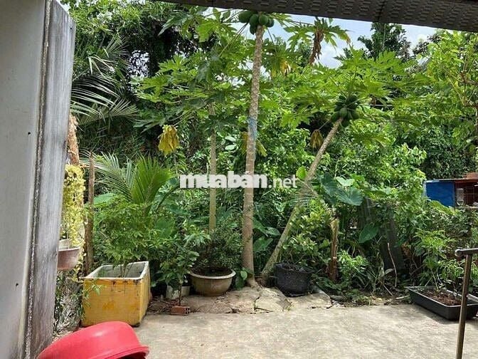 Nhà KDC Sáng Quang Nguyễn Văn Linh P2 Sóc Trăng