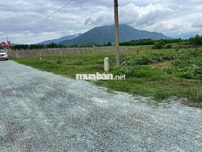 Cần bán nhanh lô đất vườn tại Diên Khánh, Khánh Hòa