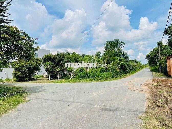 Đất mặt tiền đường nhựa 488- Phú Hòa Đông: 278m2-101m2 Thổ cư-1 tỷ 300