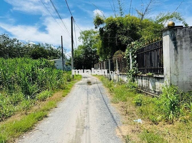 Đất mặt tiền đường nhựa 488- Phú Hòa Đông: 278m2-101m2 Thổ cư-1 tỷ 300