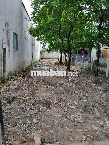 BÁN ĐẤT: 135m2 thổ cư 1/ QL22  Tân An Hội mới - SHR - Giá tốt