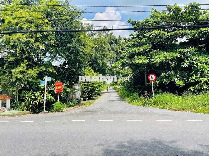 Đất mặt tiền đường nhựa 488- Phú Hòa Đông: 278m2-101m2 Thổ cư-1 tỷ 300