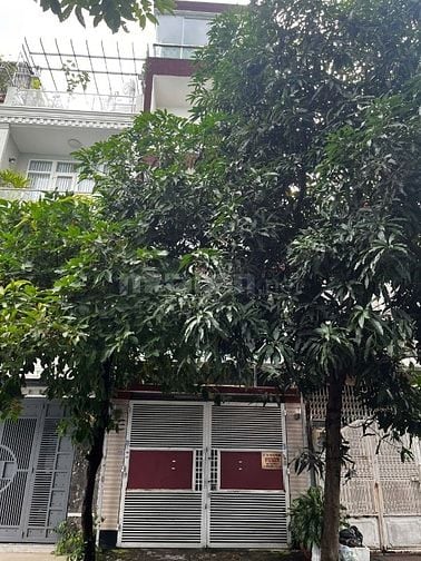  BÁN NHÀ MẶT TIỀN ĐƯỜNG SỐ 7 - KHU VIP BÌNH PHÚ! (ĐANG CÓ THU NHẬP ỔN 