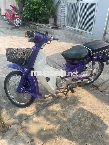82/50cc nhật