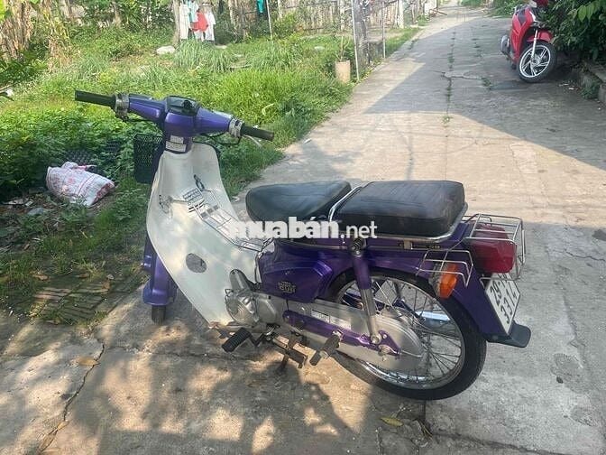 82/50cc nhật