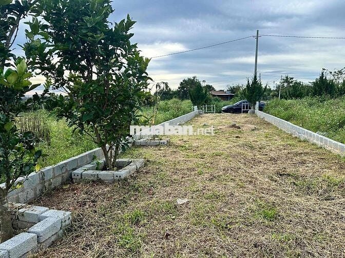 Nền ngộp - giá nát cực rẻ thích hợp nghỉ dưỡng đầu tư