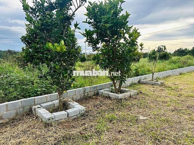 Nền ngộp - giá nát cực rẻ thích hợp nghỉ dưỡng đầu tư