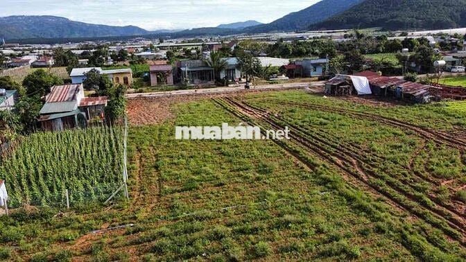 7 NỀN DRAN RA MẮT- ĐƯỜNG BÊ TÔNG THÔNG RỘNG RÃI- SẴN THỔ CƯ