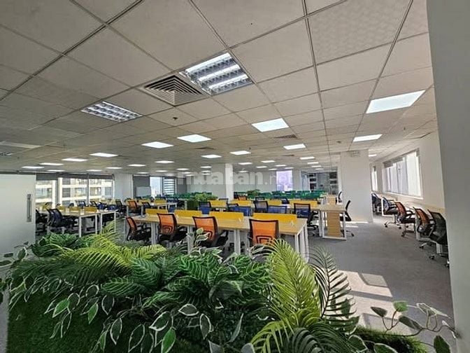 CHO THUÊ VĂN PHÒNG SƠN HÀ BUILDING DUY TÂN, DIỆN TÍCH : 100M2-200M2-35